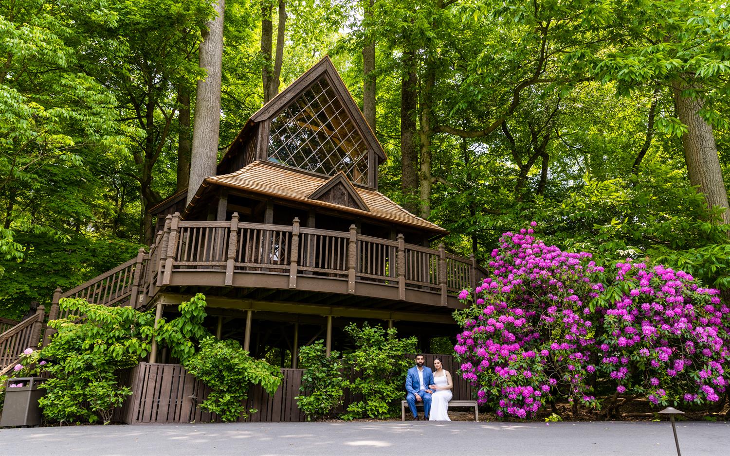 Forest pavilion venue